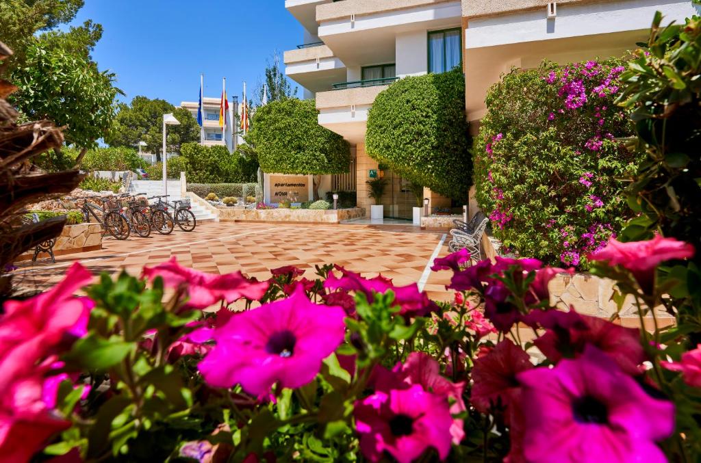 Globales Nova — Hotel building in Palma Nova, Balearic Islands