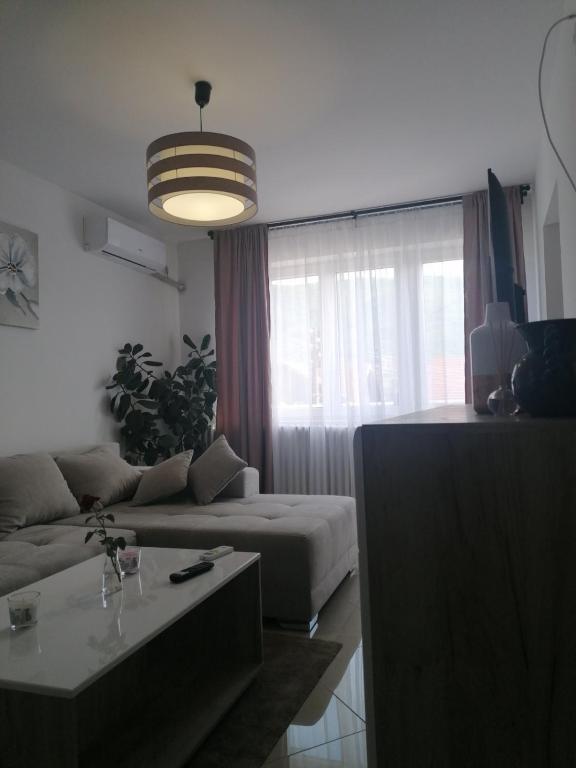 Apartmani Bambi Sokobanja - 4