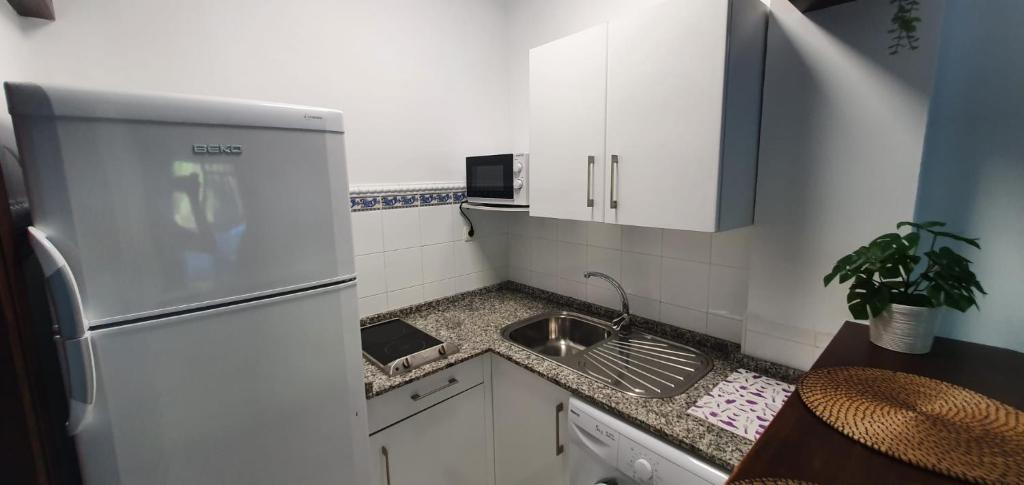 Apartamento turístico la jara - 5