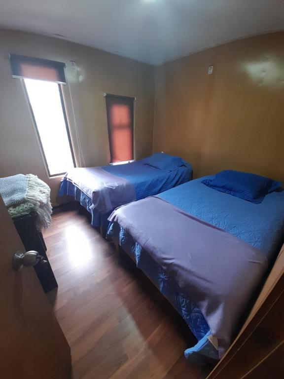 Cabaña Ranco