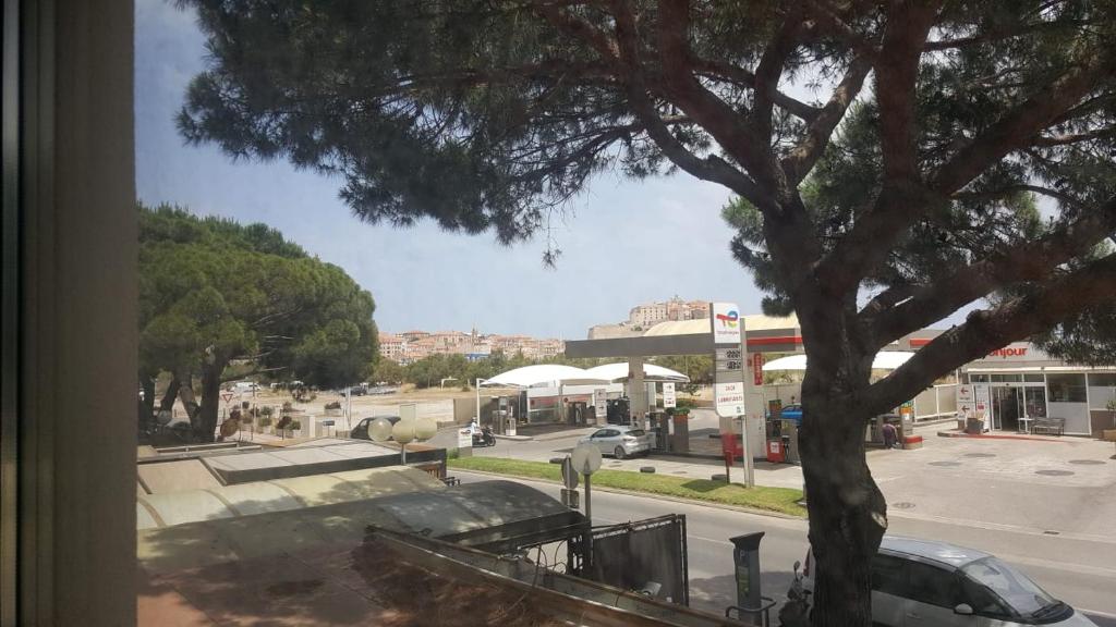 Studio à Calvi proche de la mer et des commerces - 5
