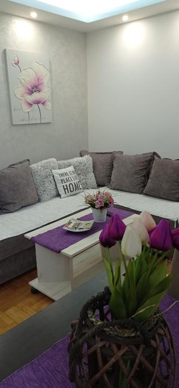 Apartman Harmonija Vrnjačka Banja - 2