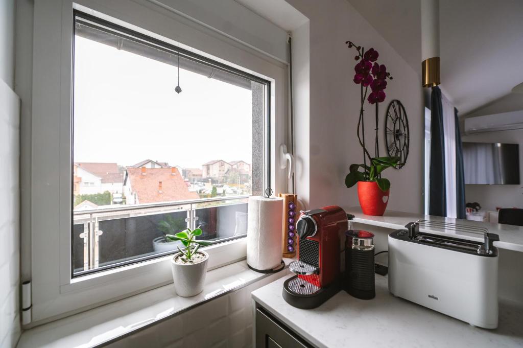 Afrodita apartman photo