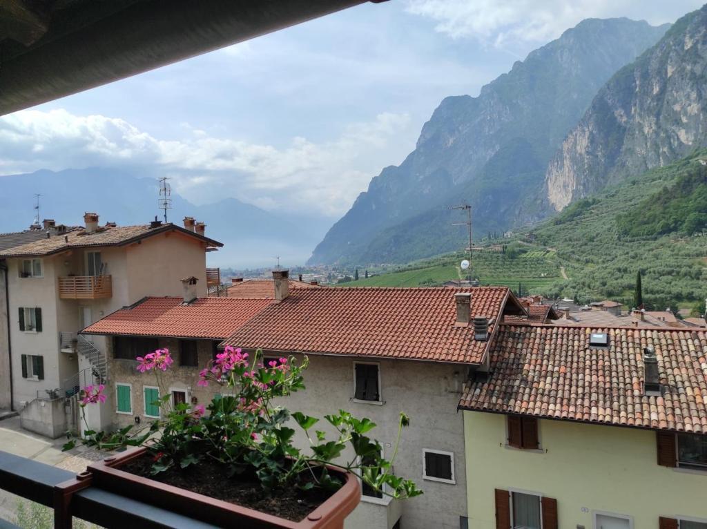 Albergo Stella D'Italia photo
