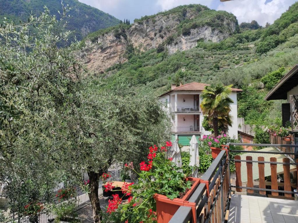Albergo Stella D'Italia photo