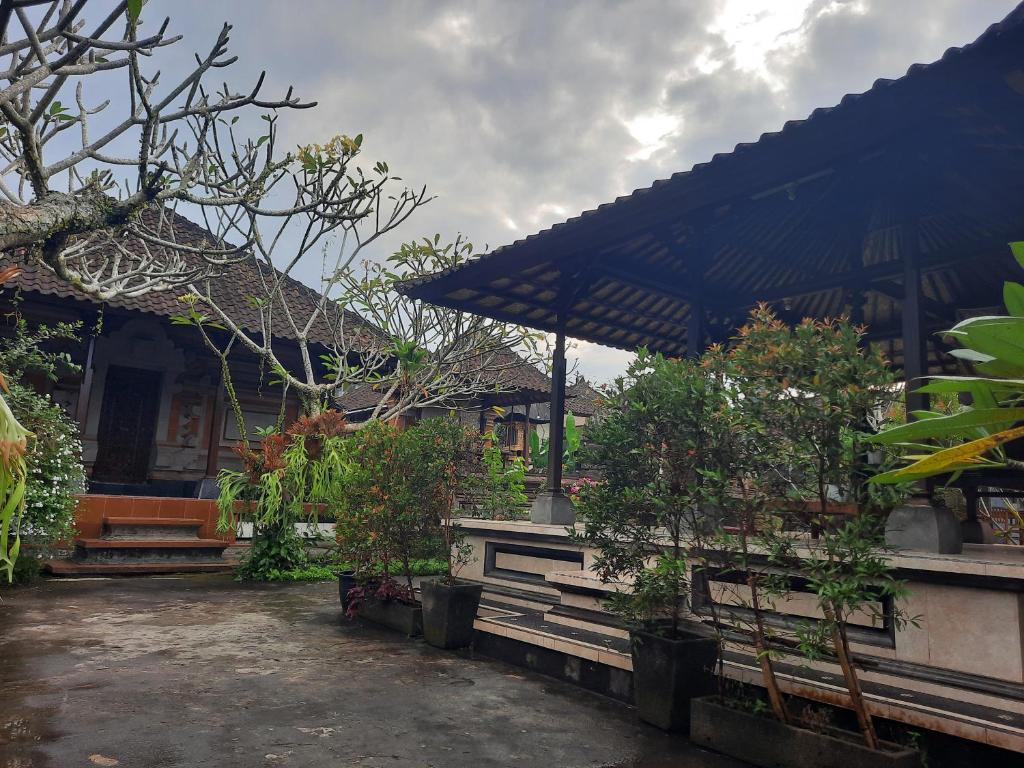 Darta House photo