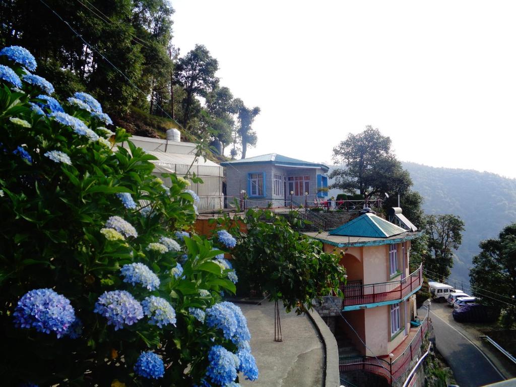 Deelux cottages inn — Hotel in Shimla