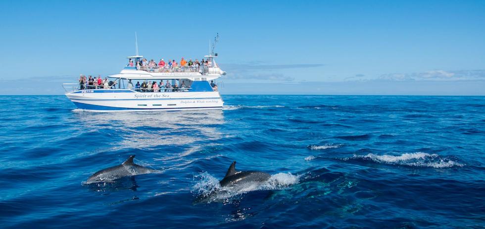 Gran Amadores — Attractions in the area in Puerto Rico, Canary Islands