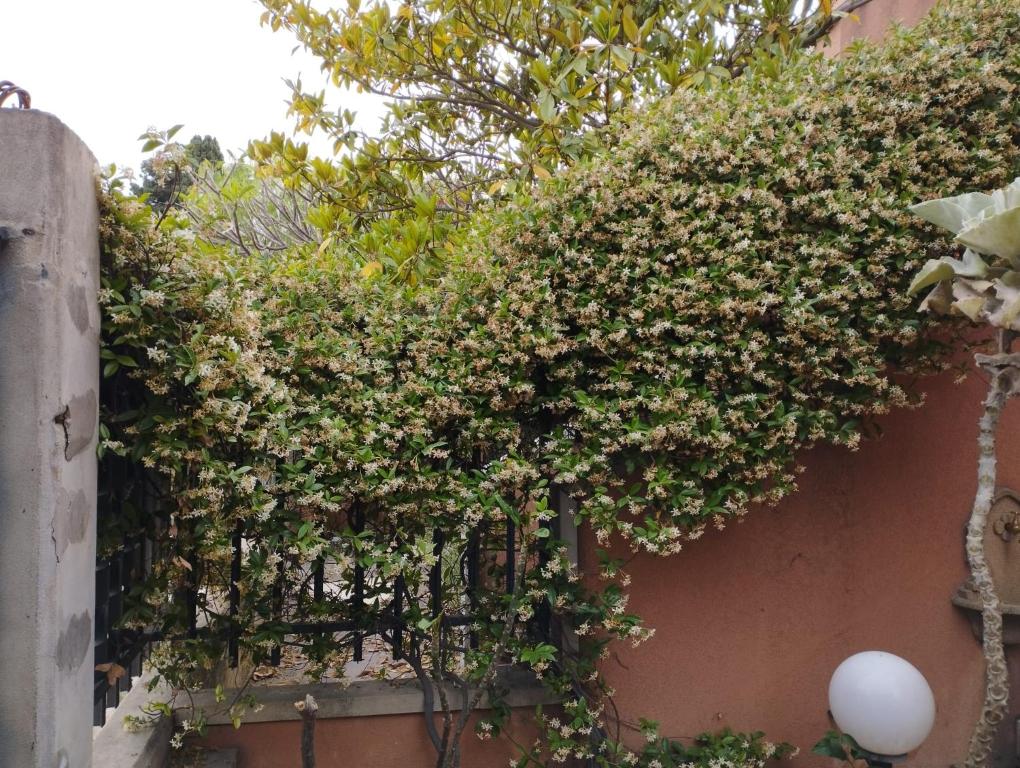 Casabella Mondello - 1