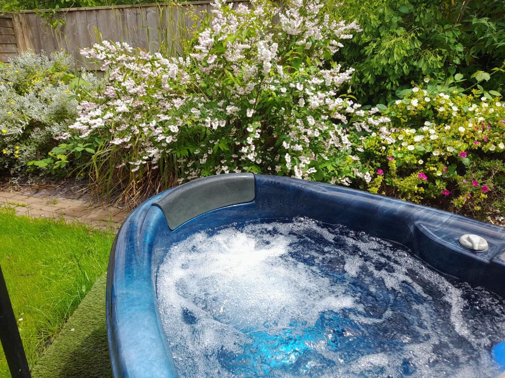 Orchard View Yurt & Hot Tub photo 8