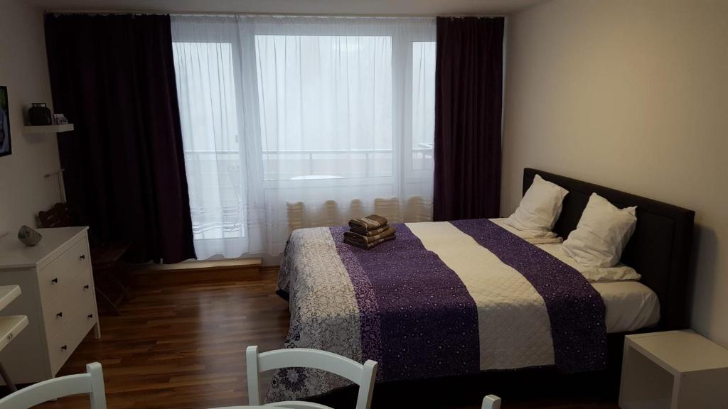 Appartement Grün-Weiß - 2