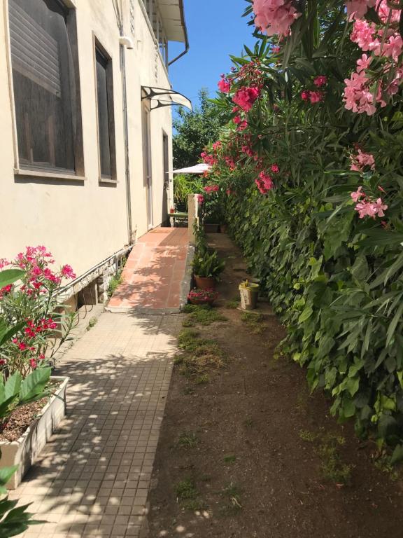 Casetta dei fiori - 3