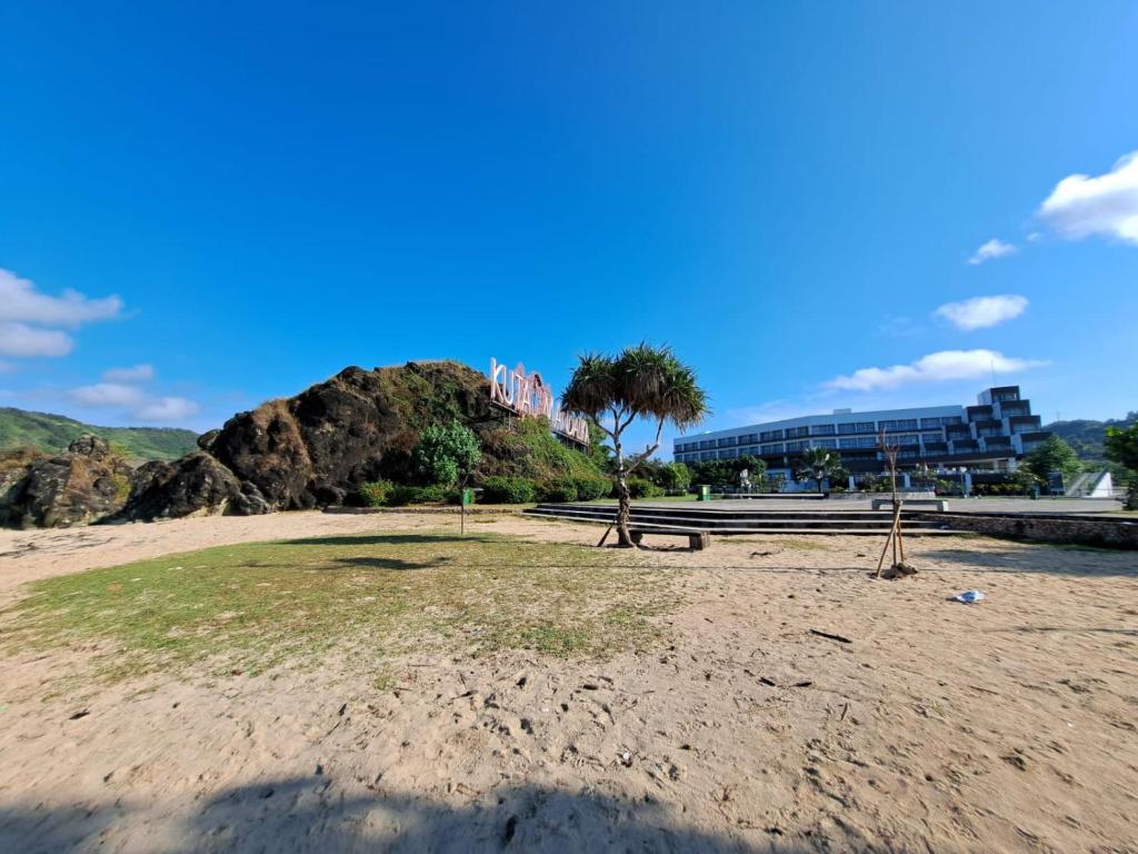 Surfers Beachfront photo