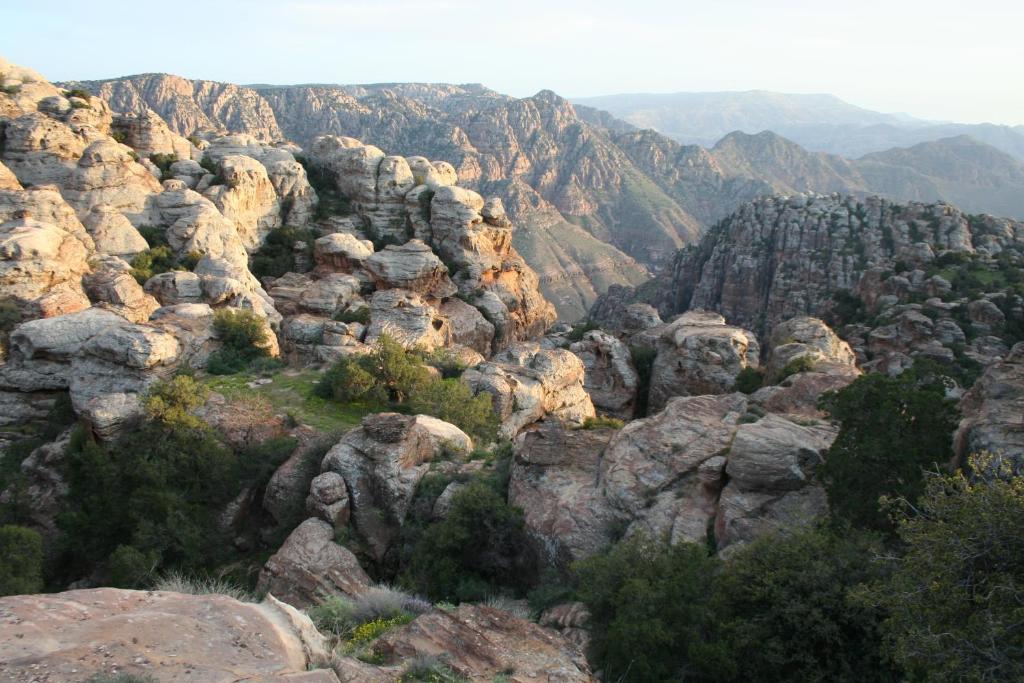 Sports and activities