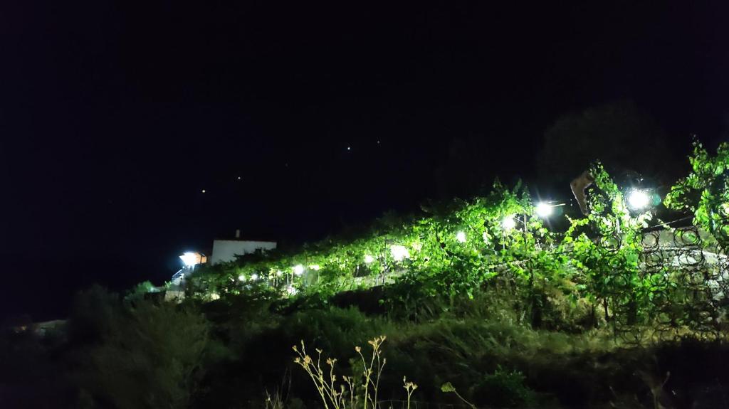 Filikur Hostel Himare photo