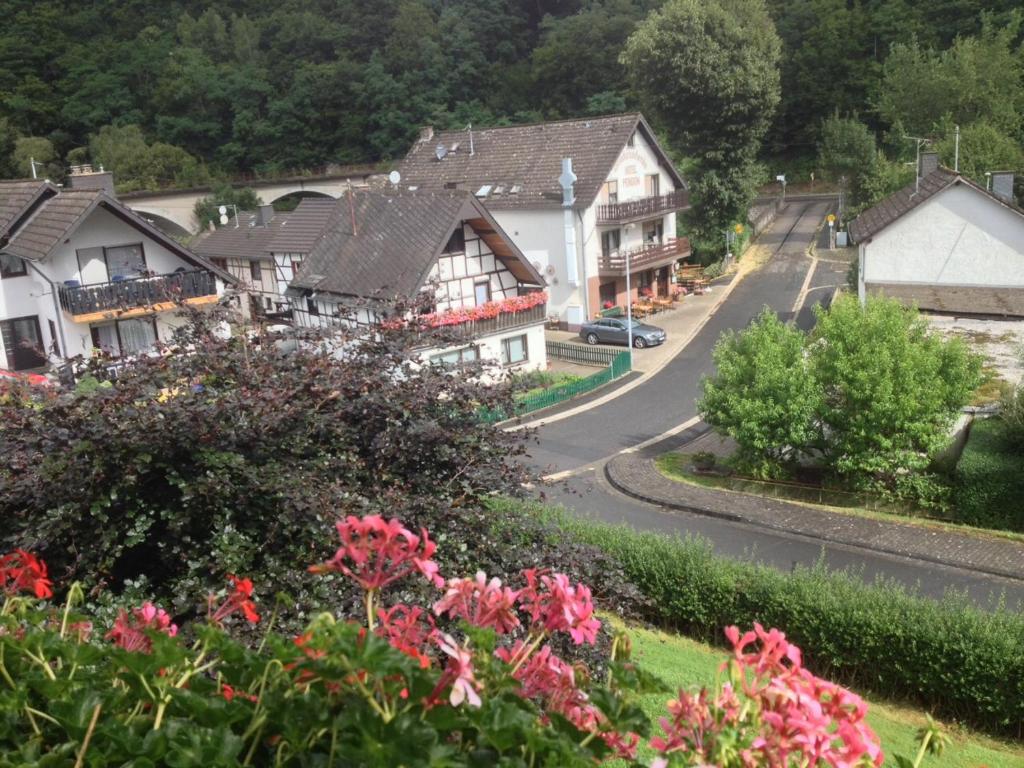 Bed&Breakfast Eifelpension Bruckenschenke 전경