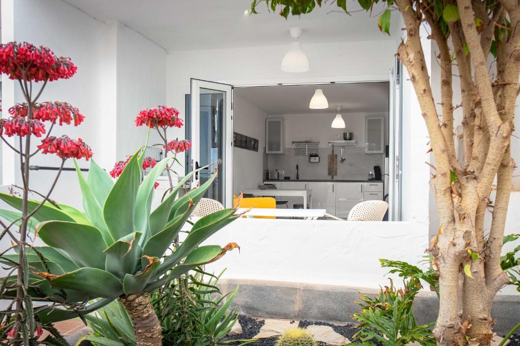 "Las Olas" by Corralejobeach Apartments - 3
