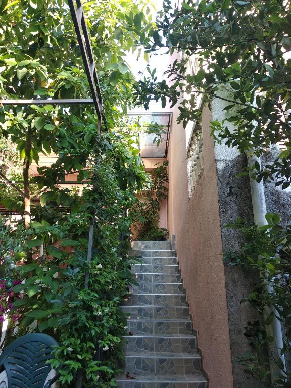 Villa Stanivukovic - 5