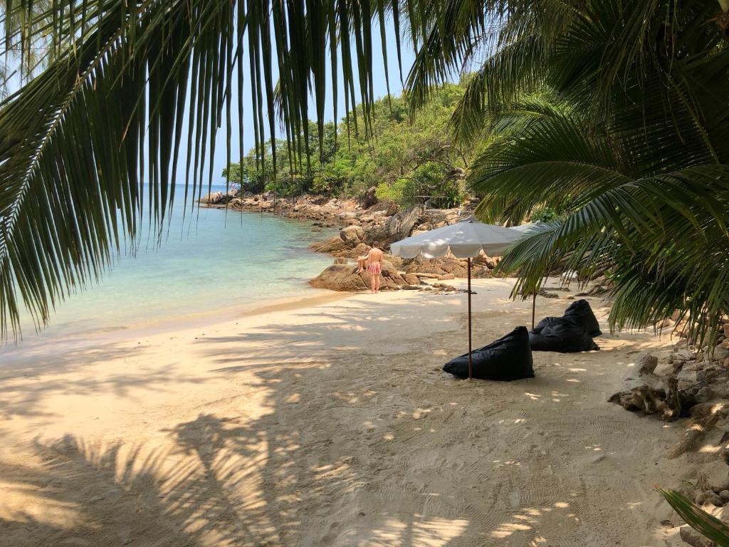 Coconut Beach Bungalows photo