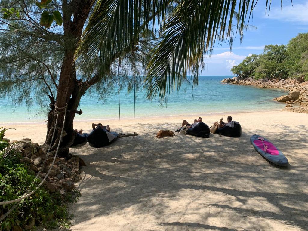Coconut Beach Bungalows photo