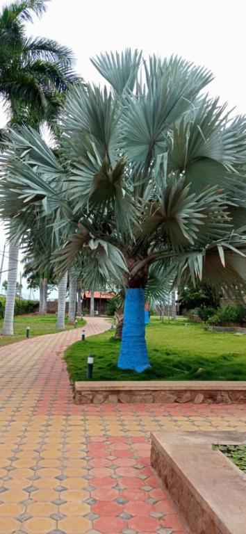 KRISHNA HERITAGE RESORT photo