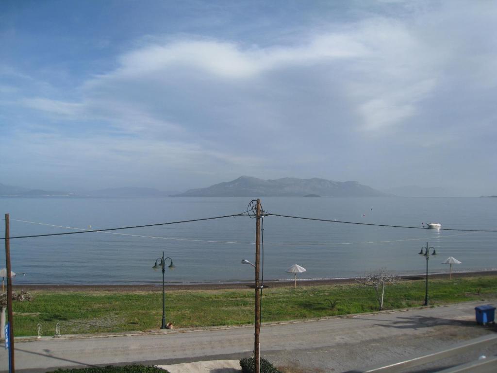Alma Hotel photo