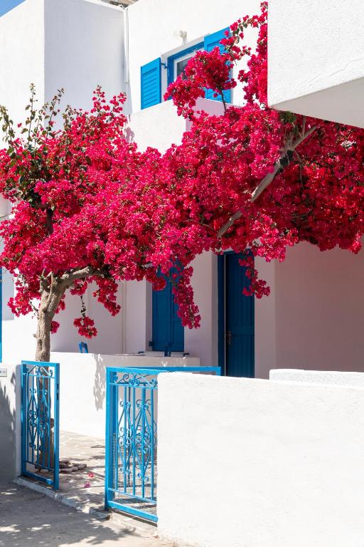 バルコニー/テラス