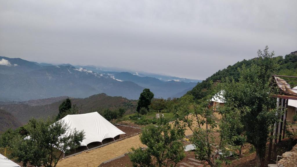 Surrounding environment