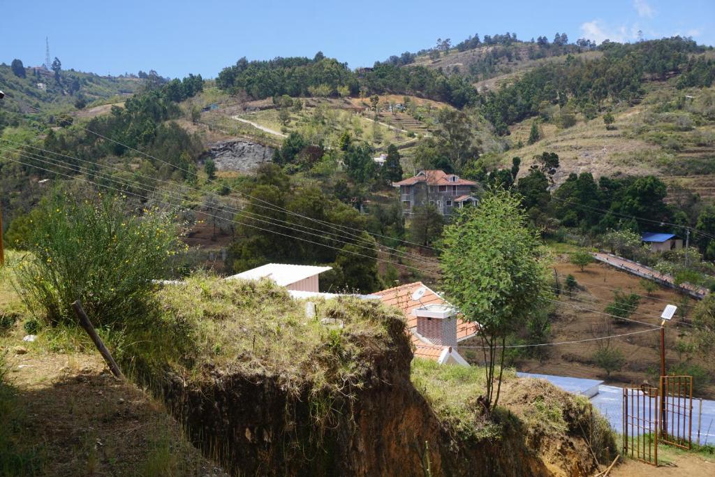 Surrounding environment