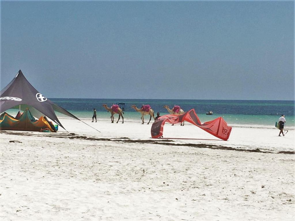 Galu Gardens Apartments Diani Beach photo