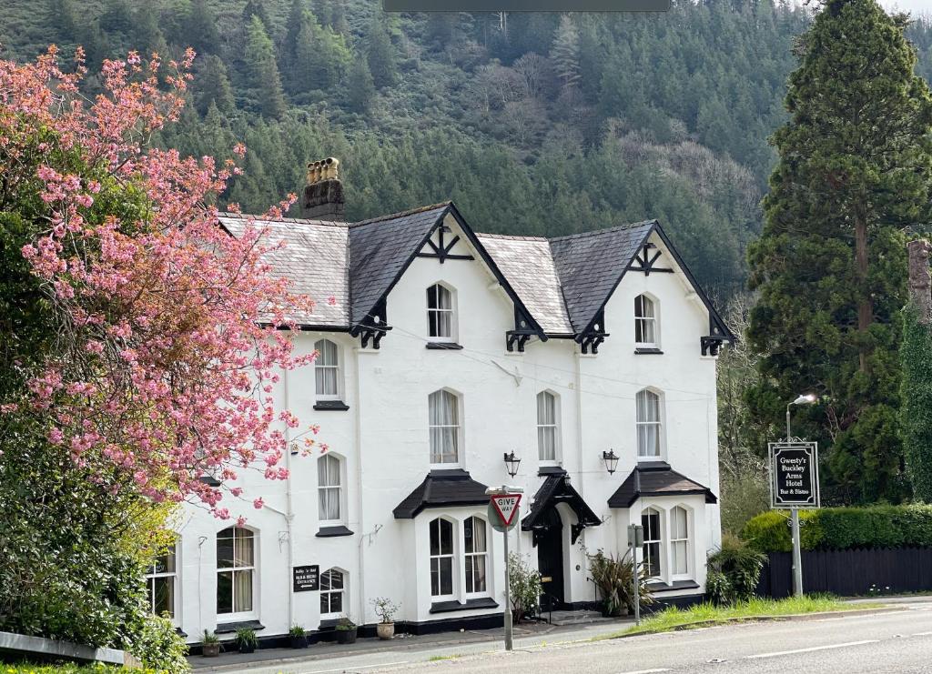 The Buckley Arms, Dinas Mawddwy