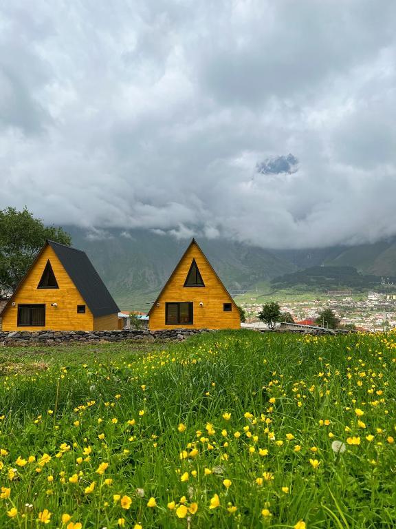 Pine Chalet Kazbegi — Hotel in Kazbegi