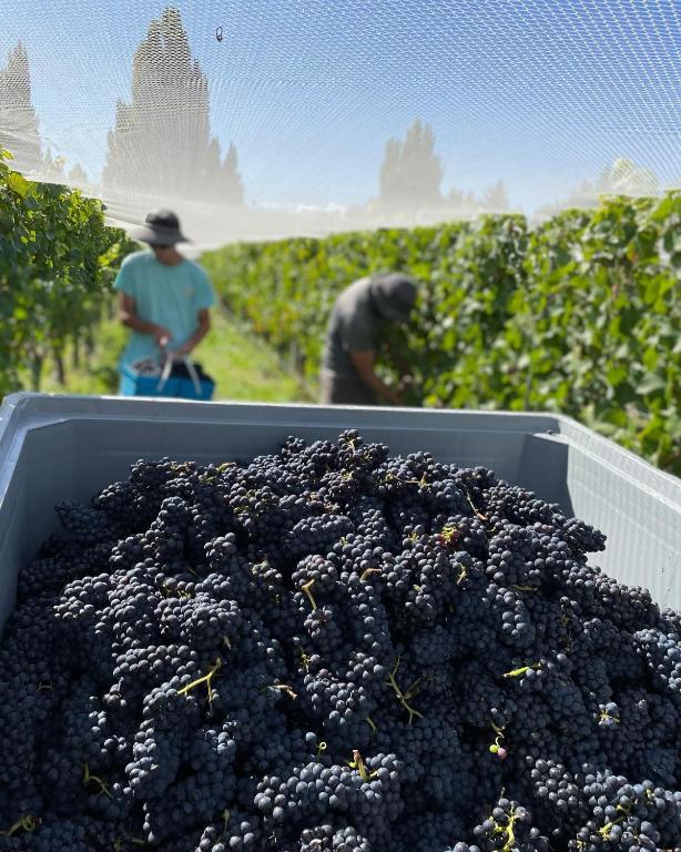 'The Crib' on Legacy Vineyard photo