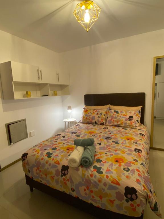 Estudio elegante y cálido - 3