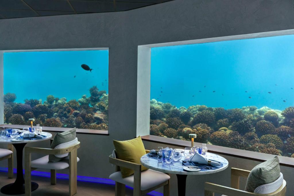OBLU XPERIENCE Ailafushi - All Inclusive with Free Transfers — Restaurant & bars in Kaafu Atoll, Kaafu