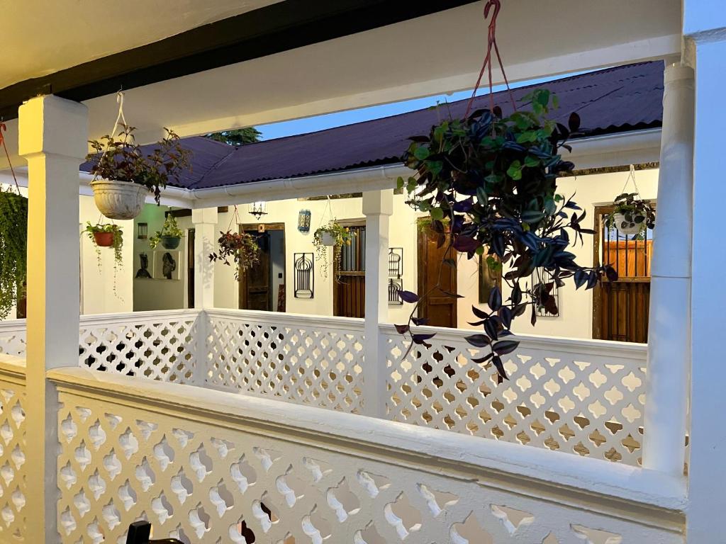 Zanzi House — Hotel in Zanzibar
