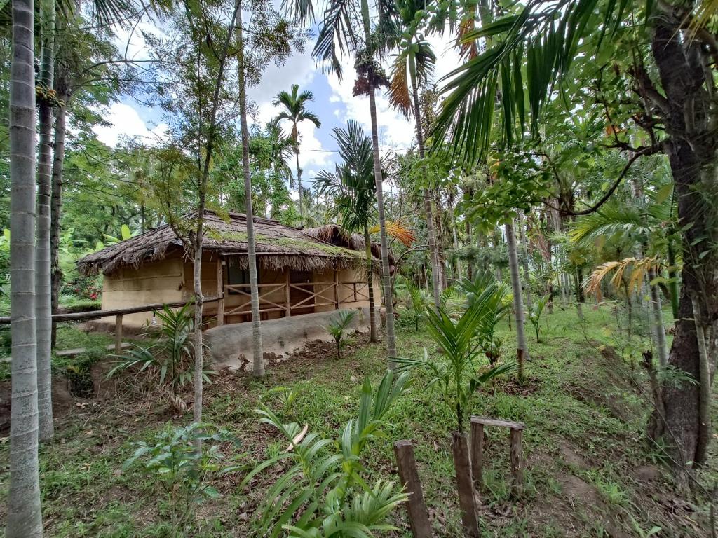 Marayoor Mudhouse photo