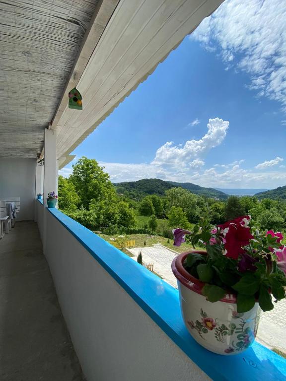 Casutele verzi din Ocnele Mari photo