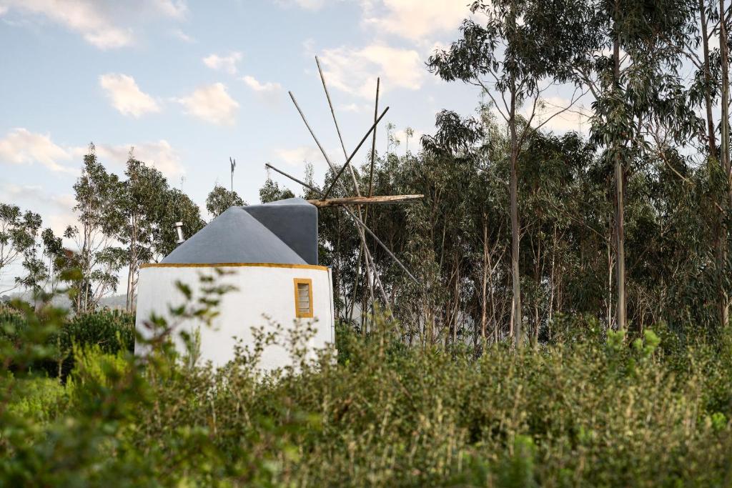 Delightful forest windmill, 10 min away from the beach, Nazaré