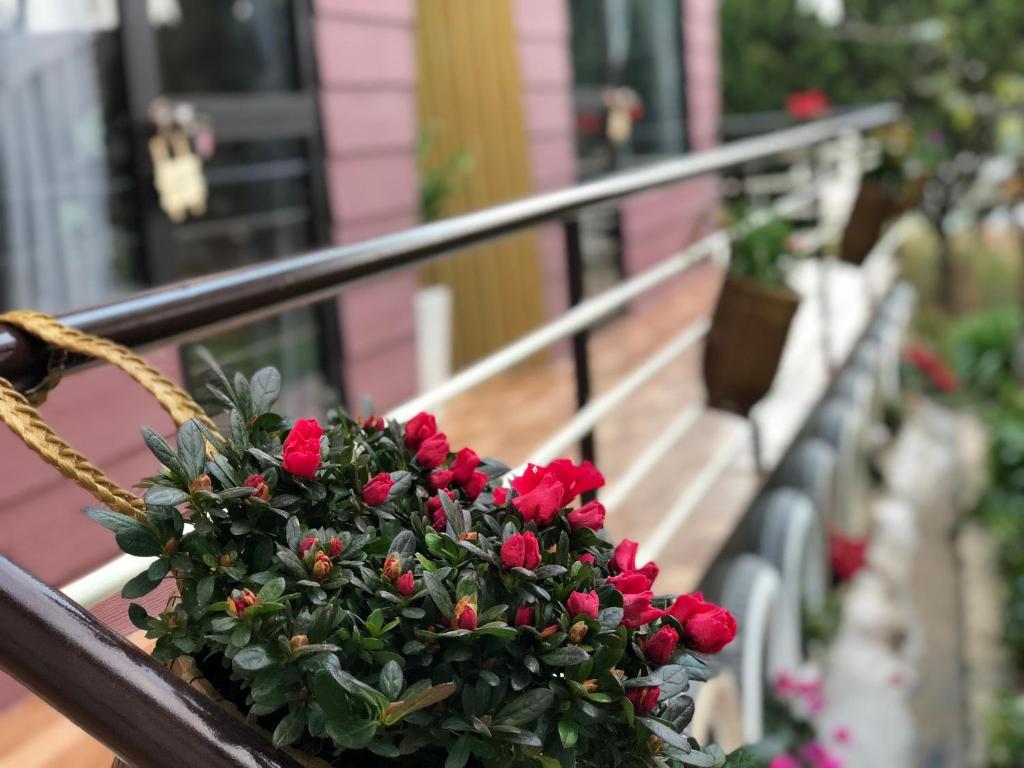 Homestay Cây Thông