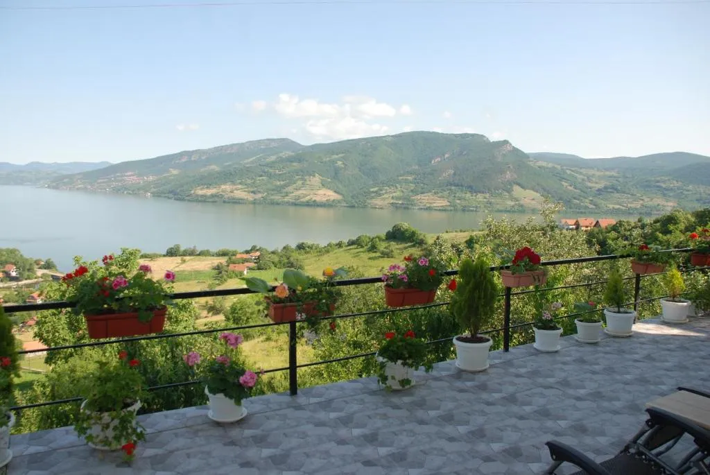Apartment Danubius, hotel in Donji Milanovac