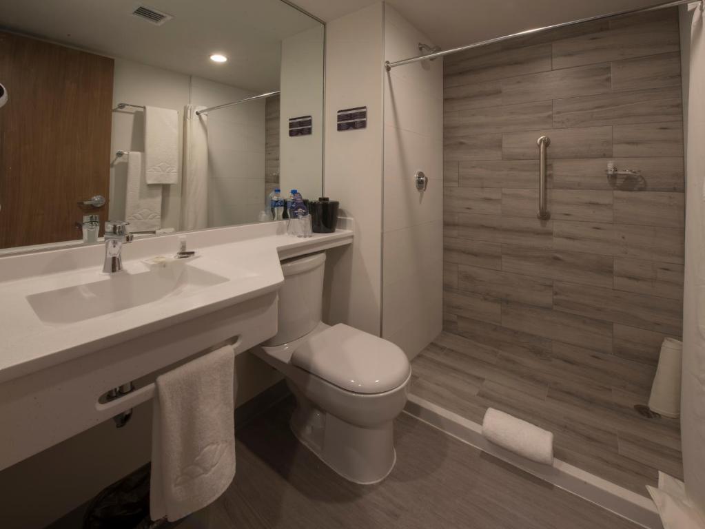 Microtel Inn & Suites by Wyndham Guadalajara Sur - 2