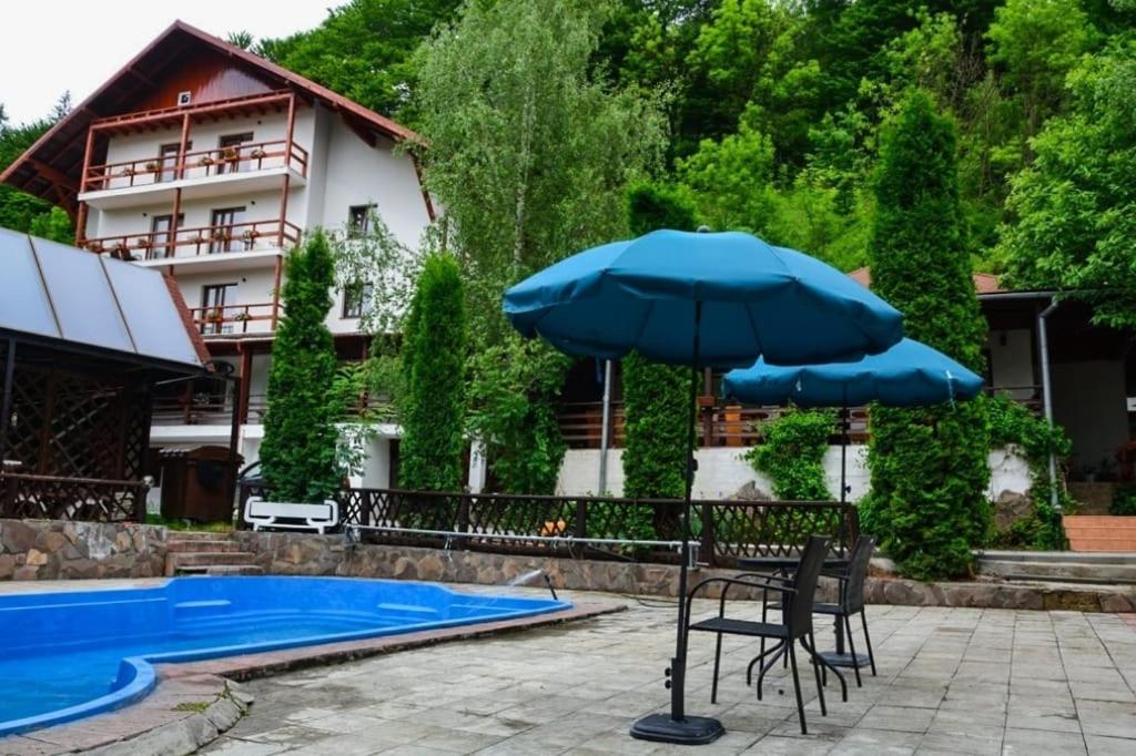 Vila Maria Bran photo
