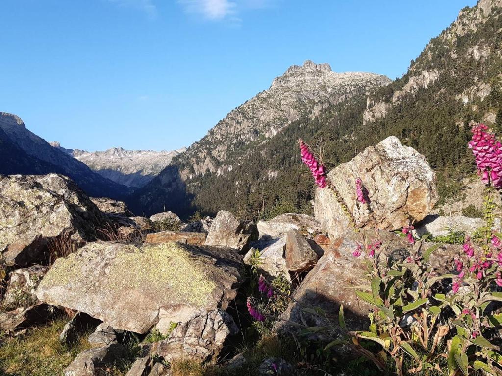 Appartement Centre-ville Cauterets 53m² 1 Chambre - FR-1-234-279 - 5