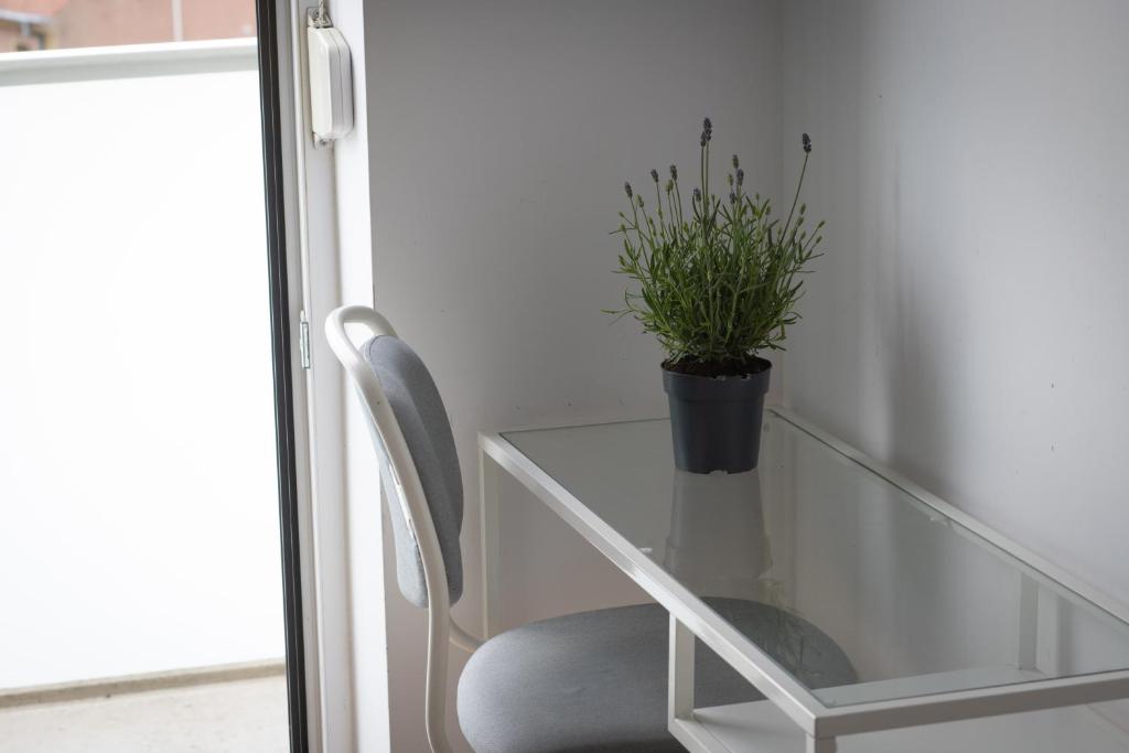 ArtApartments Centrum photo