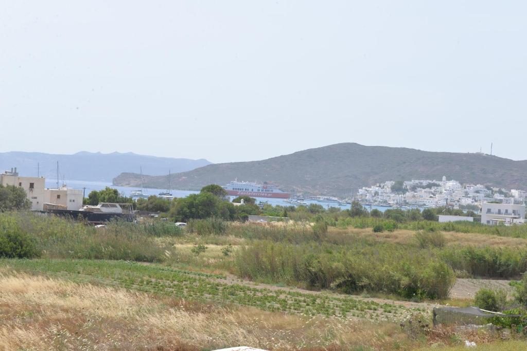 Papikinou Studios photo