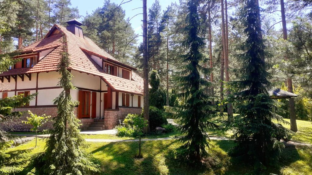 KRALJEVI KONACI - Vila Zelena Dolina - Zlatibor - 3