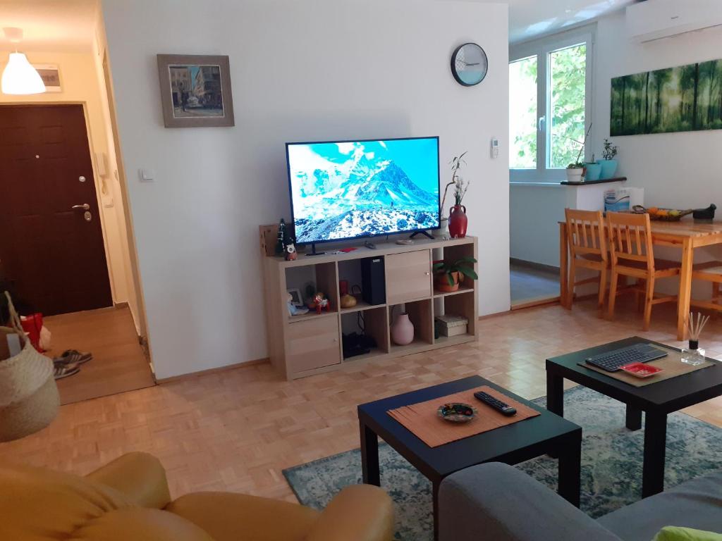 Apartment New Belgrade photo