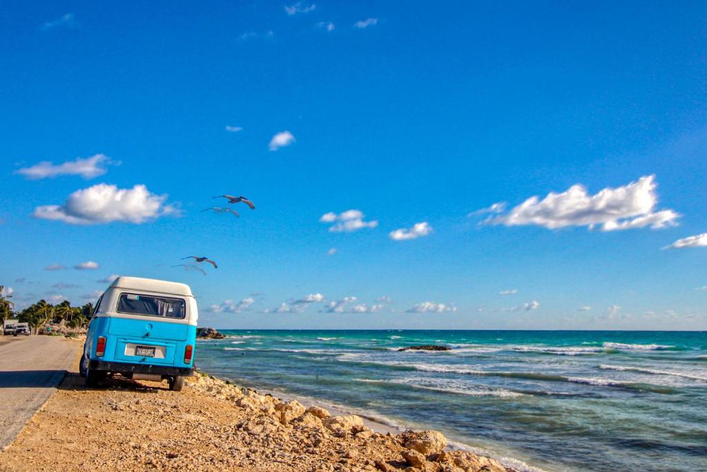 Bajo Cielo at Luum Zama photo