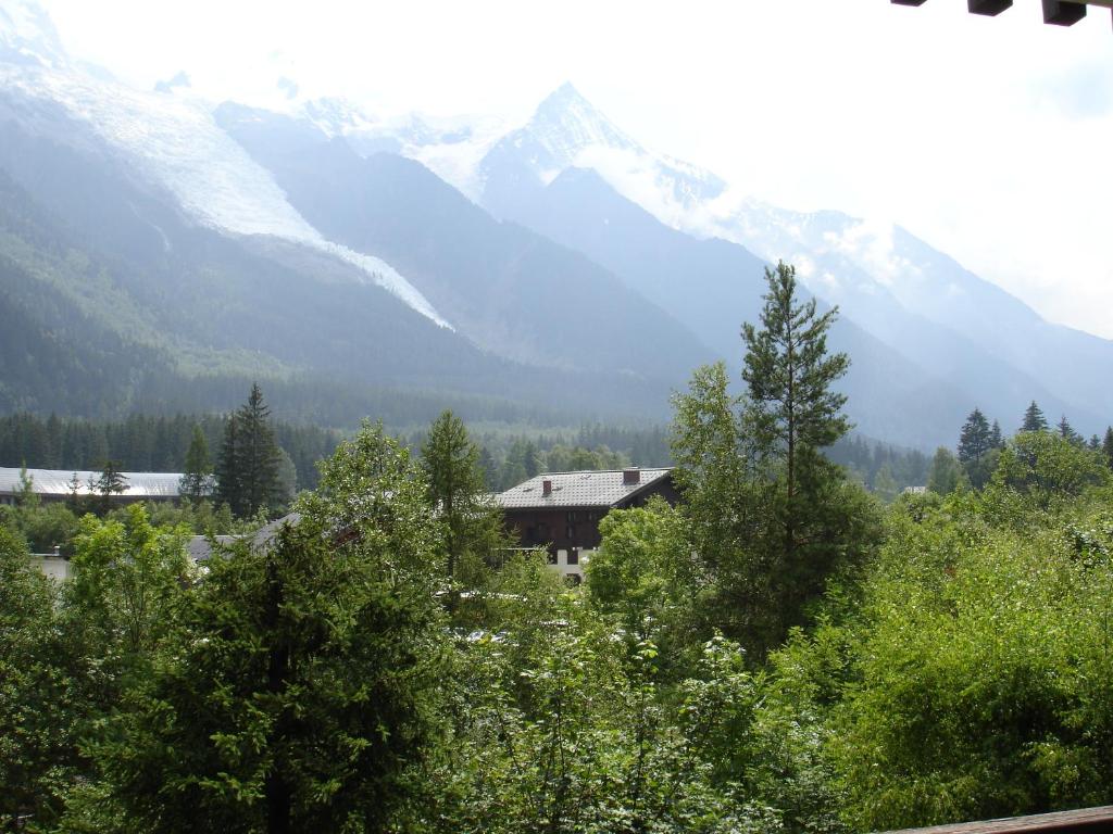 Apartment Arve - Chamonix Peaks Retreat - 3